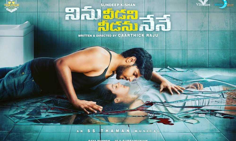 Ninu Veedani Needanu Nene Telugu Movie (2019) | Cast | Songs | Trailer | Review