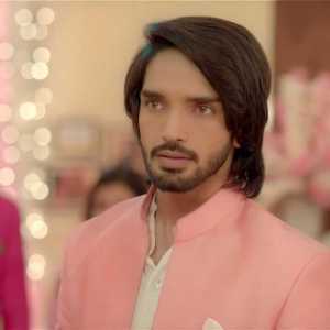 Harsh Rajput Wiki, Biography, Age, TV Serials, Images - Wikimylinks