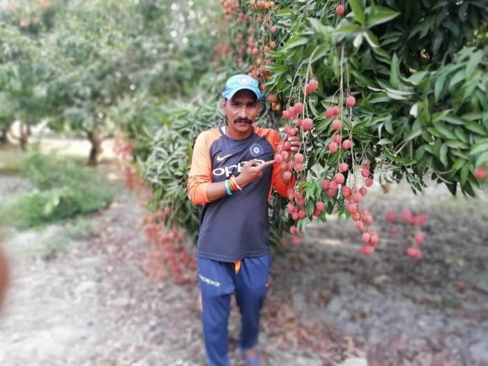 Sudhir Kumar Chaudhary Fruit Images