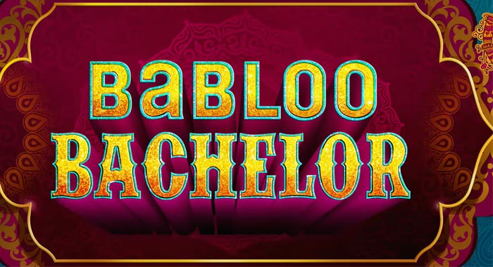 Babloo Bachelor Hindi Movie Wiki 1